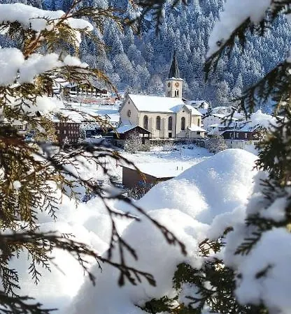 Haus Carmen Kleboth 公寓 加舒恩