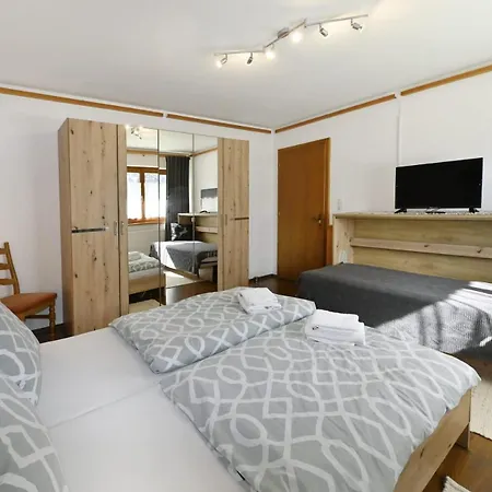 公寓 Haus Carmen Kleboth 加舒恩